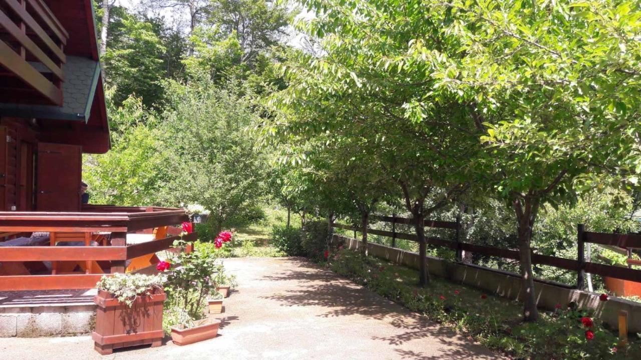 Crkvine Chalet Kolašin Εξωτερικό φωτογραφία